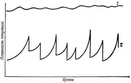 Рис. 5.14. Рост популяции у равновесных (7) и оппортунистических (II) видов,