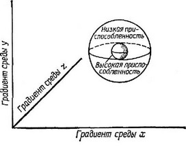 изображенному на рис. 7.2, Б) в координатах трех разных градиентов среды на котором ноказаны зоны низкой и высокой приспособленности. Здесв неявно