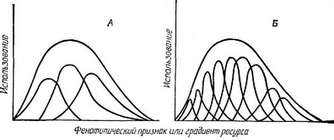 Рис. 7.12. Схематическое изображение двух популяций, которые различаются по внутрифенотипическому