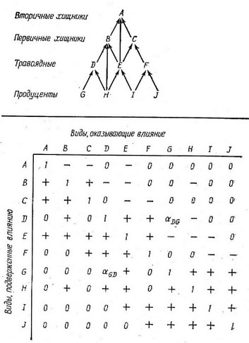 Рис. 8.4. Матрица гипотетического сообщества, состоящего из 10 видов. Приведены