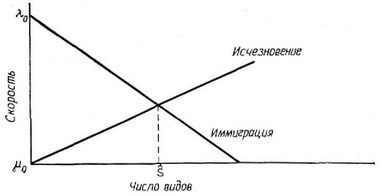 Рис. 9.6. Линейная зависимость скорости иммиграции и исчезновения от плотности