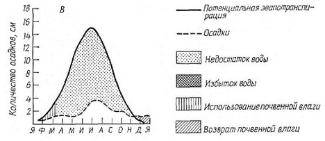Рис. 3.9. Соотношение годовых колебаний потенциальной эвапотранспирации я годовых