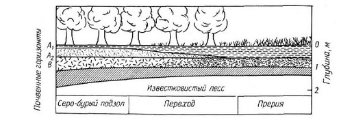 Рис. 3.14. Схема типичной смены почвы при переходе от прерии (мощный поверхностный