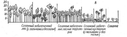 Рис. 3.17. Профили растительности вдоль трех экоклинов. А. Градиент влажности