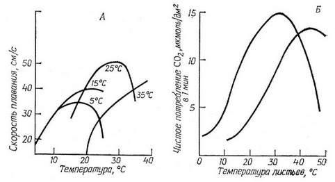 Рис. 4.1. Интенсивность двух физиологических процессов в зависимости от температуры.