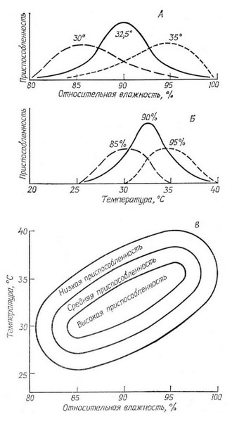 (Brown, Feldmeth, 1971)   ,       