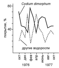 Рис. 3.46. Динамика проективного покрытия на литорали Чили. По Santelices