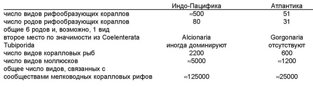 Коралловые рифы Атлантики и Индо-Пацифики отличаются не только числом видов,