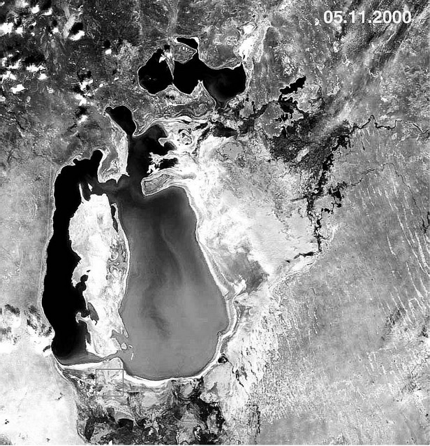 Рис. 4.18. Аральское море в 2000 г., видна береговая линия середины прошлого