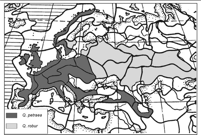 Рис. 4.38. ЦС, в которых эдификаторами климакса являются Quercus petraea