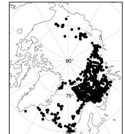 . 5.1.   Nothria hyperborea   