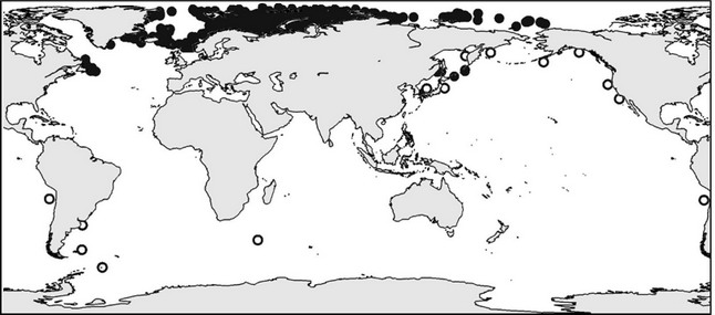 . 5.9.   Nothria hyperborea.