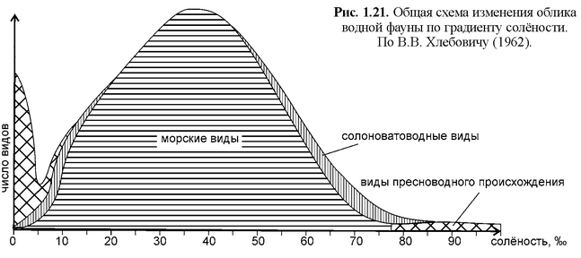 Локально солёность может иметь другие значения. Большая часть таких отклонений