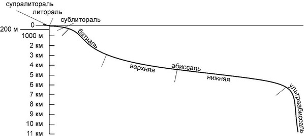 Рис. 6.2. Вертикальная зональность Мирового океана. По А.И. Кафанову,