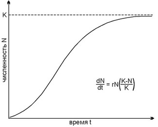 Рис. 2.22. Логистическая кривая роста численности нонуляции. К — предельная