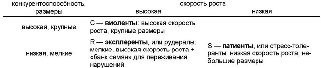  Фактически все виоленты, в их понимании — резко выраженные эдификаторы,
