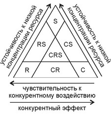 Рис. 2.24. С-S-R-стратегии у фитопланктона. По Л.В. Ильяш и др. (2003).