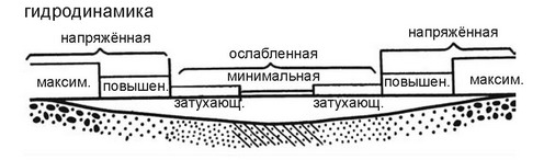 Рис. 3.19. Связь распределения трофических зон с рельефом и гидродинамикой.
