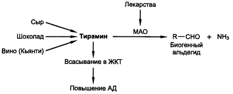 Рис. 11.3. Механизм повышения артериального давления после приема биогенных аминов, находяшихся в продуктах питания