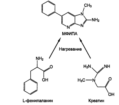 Рис. 11.6. Образование -метилфенилимидазолпиридинамина (МФИПА) при термической обработке мяса