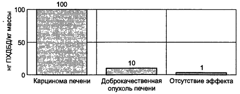 Рис. 11.17. Дозовая зависимость биологических эффектов ПХДБД