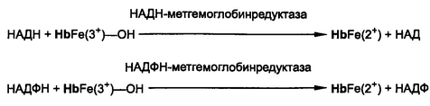 Рис. 13.1. Механизмы восстановления метгемоглобина