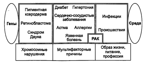 Рис. 1.1. Влияние различных факторов на возникновение заболеваний у человека