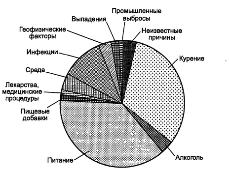 Рис. 1.3. Этиологические факторы возникновения заболеваний у человека