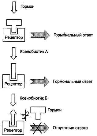 Рис. 3.9. Механизм действия ЭЭС