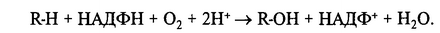        (\  ),    . -450  -\- -450-.     -   b5  ---5-.  ,   -   - ,       (, ).