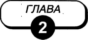 Экологические факторы. Патогенетические механизмы действия физических