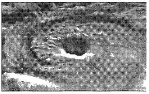 Рис. 8.5. Изображение озоновой дыры над Южным полюсом, полученное в результате сканирования стратосферы с американского искусственного спутника Земли