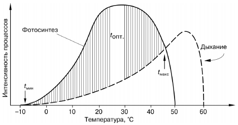 и дыхания растения от температуры (по В. Лархеру, 1978): tмин, tопт,