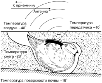 температурного режима рябчика, находящегося в подснежной лунке (по А. В. Андрееву,