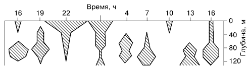    Calanus finmarchicus ( . , 1975)