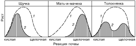 растений при выращивании в одновидовых посевах и в условиях конкуренции: