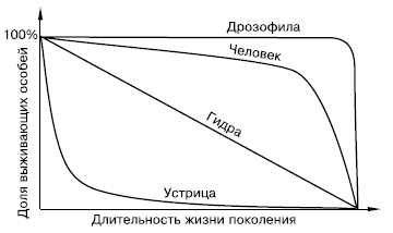 Различные типы кривых выживаемости