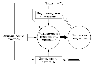 насекомых (по Г. А. Викторову, 1976)