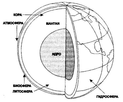  Рис. 2.1. Общая структура
