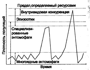 Рис. 10.16. Факторы, регулирующие численность
