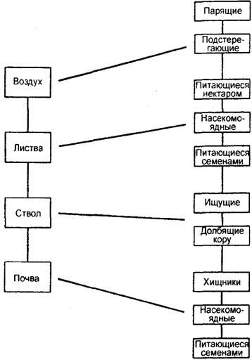 Рис. 11.12. Разделение птиц на экологические группы, основанное