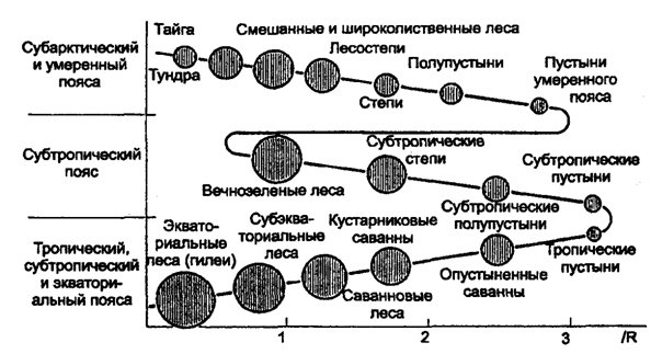 Рис. 12.1. Периодический закон географической зональности
