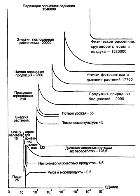 Рис. 12.6. Поток солнечной энергии на Земле и ее трансформации
