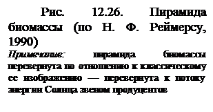 Примечание: пирамида биомассы перевернута по отношению к классическому ее изображению — перевернута к потоку энергии Солнца звеном продуцентов