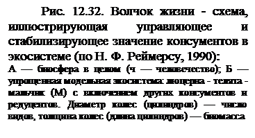 А — биосфера в целом (ч — человечество); Б — упрощенная модельная экосистема: люцерна - телята - мальчик (М) с включением других консументов и редуцентов. Диаметр колес (цилиндров) — число видов, толщина колес (длина цилиндров) — биомасса