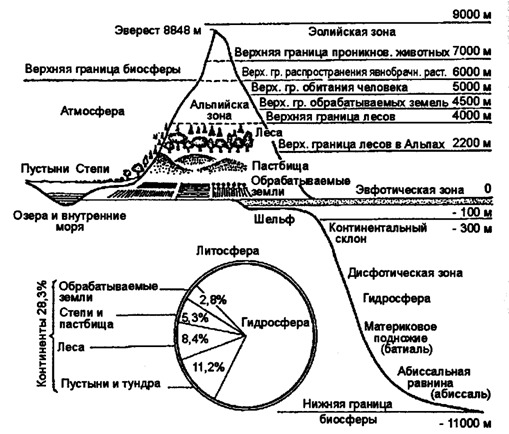 Рис. 12.40. Протяженность биосферы по вертикали и соотношение