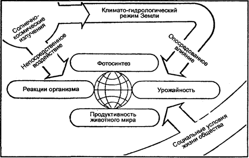 Рис. 12.43. Пути космического влияния на биосферу