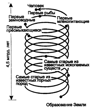 Рис. 12.46. Спираль времени