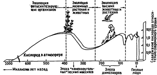 Рис. 12.47. Происхождение кислорода в атмосфере (по Е. Одуму, 1971)