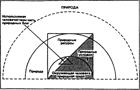 Рис. 13.1. Структура понятия «природные блага»
